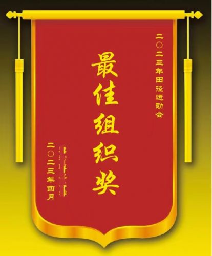 锦旗  颁奖旗 70*110cm 荣誉旗 具体定制内容联系客服